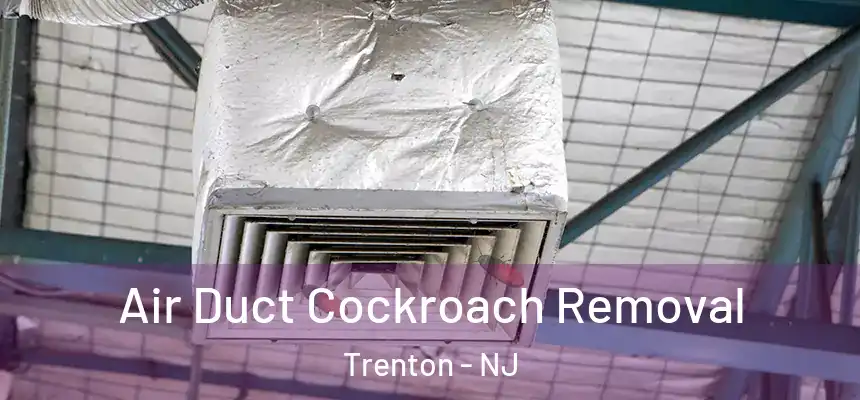 Air Duct Cockroach Removal Trenton - NJ