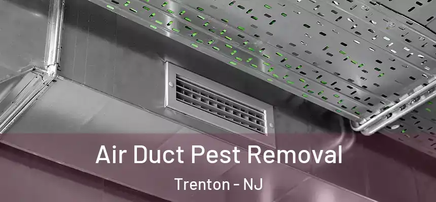  Air Duct Pest Removal Trenton - NJ