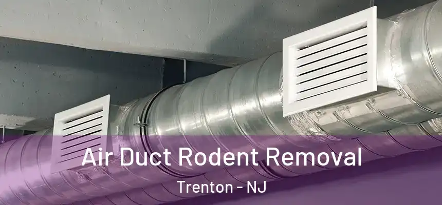  Air Duct Rodent Removal Trenton - NJ