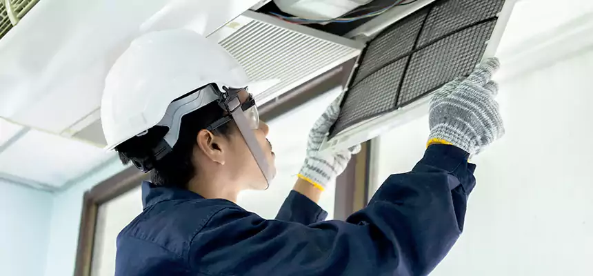 Our Mold & Mildew Removal from Air Ducts Services in Trenton, NJ