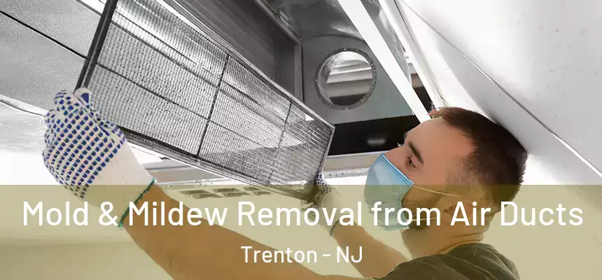 Mold & Mildew Removal from Air Ducts Trenton - NJ