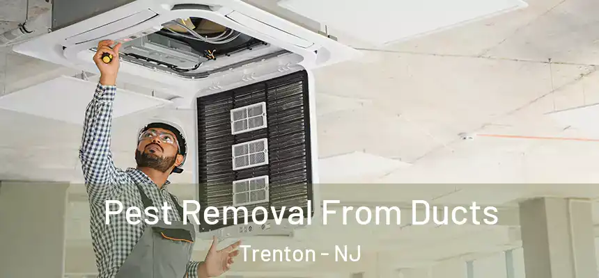 Pest Removal From Ducts Trenton - NJ