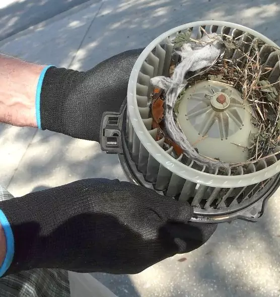 About Air Duct Mice Removal in Trenton, NJ