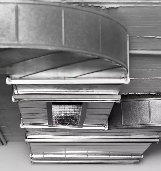 Professional Air Duct Pest Removal in Trenton, NJ