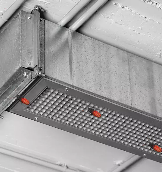 Affordable Insect Removal from Air Ducts in Trenton, NJ
