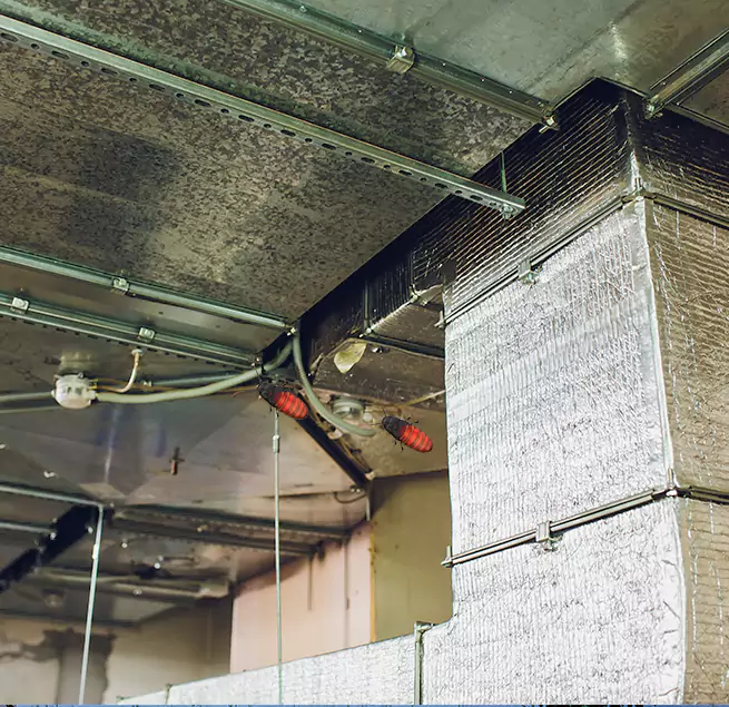 Why Homeowners & Businesses Trust Us in Trenton, NJ?