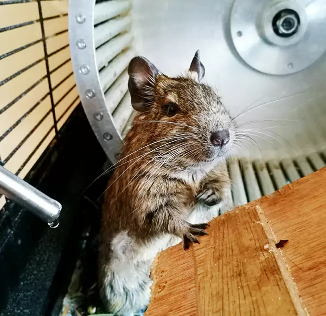 Why Homeowners & Businesses Trust Us Trenton, NJ?