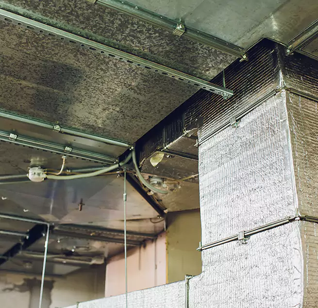 Why Homeowners & Businesses Trust Us in Trenton, NJ?