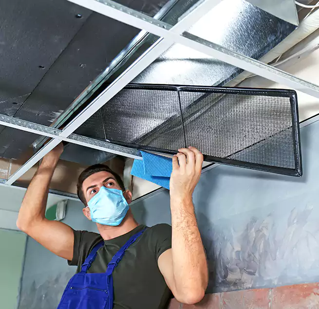 Why Homeowners Businesses Trust Us in Trenton, NJ