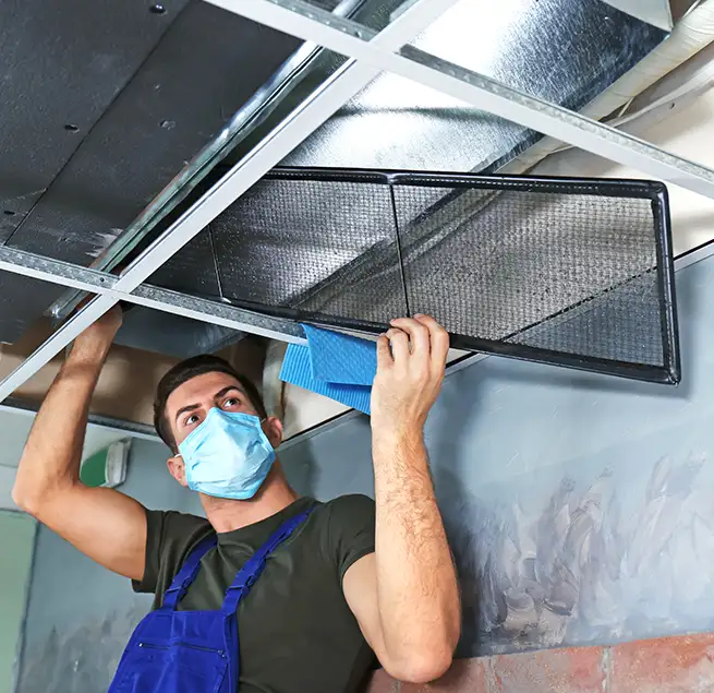 Why Homeowners & Businesses Trust Us in Trenton, NJ?